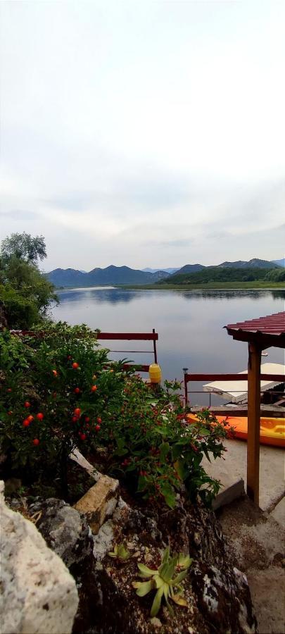 Old House, Skadar Lake Cetinje Ngoại thất bức ảnh